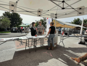 vide grenier